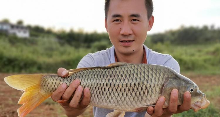 探寻非洲野外钓鲫鱼技巧（挑战非洲鲫鱼钓点）  第2张