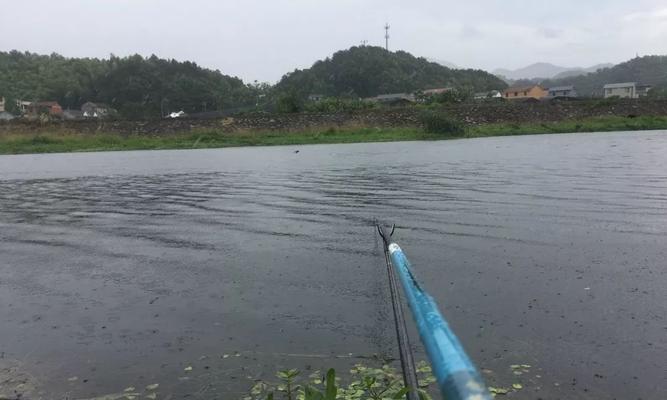 高温天气钓鱼技巧（应对高温天气）  第1张