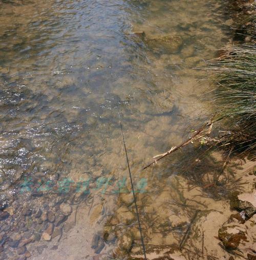 公路小水沟钓鱼技巧（探秘公路小水沟的钓鱼诀窍）  第3张