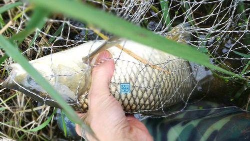 谷麦钓法鱼钩挂钩技巧（轻松掌握钓鱼的绝技）  第2张