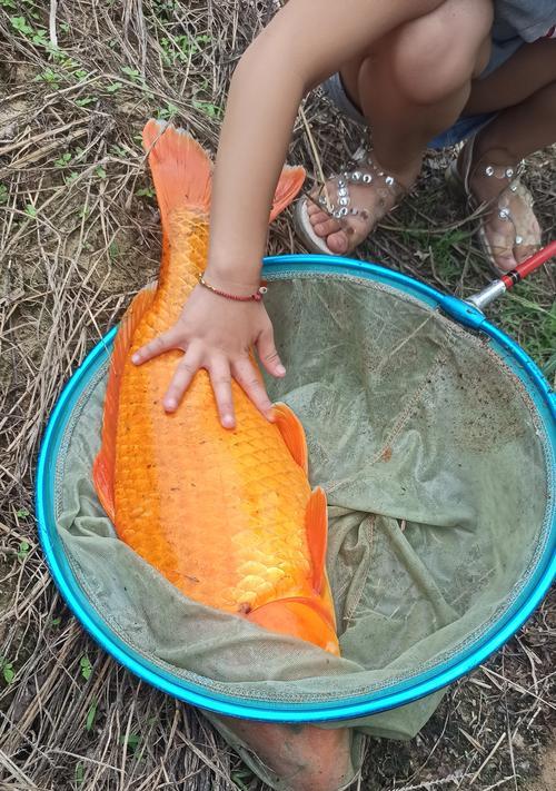 谷麦台钓技巧详解（轻松掌握谷麦台钓技巧）  第1张