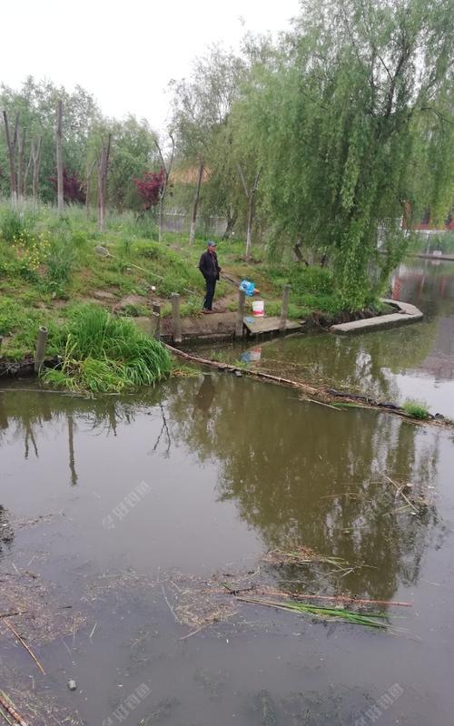 谷雨钓鱼技巧大揭秘（学会这些技巧）  第1张