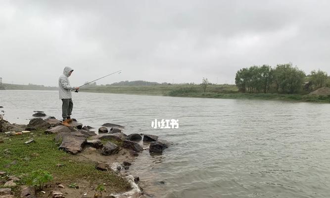 谷雨后的钓鱼技巧（钓鱼技巧分享）  第2张