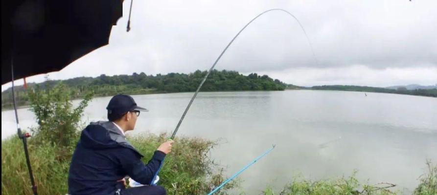 钓鱼技巧大揭秘（谷雨降温）  第1张