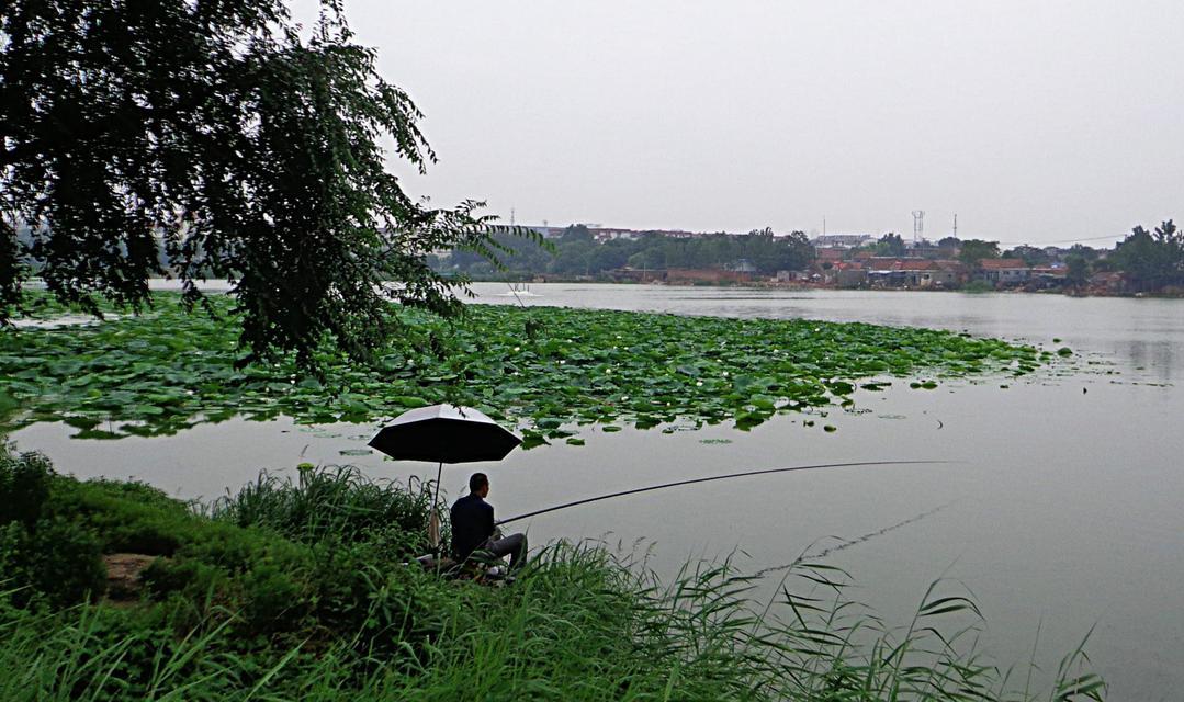 钓鱼技巧大揭秘（谷雨降温）  第2张