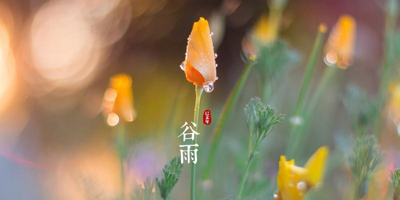 谷雨时节的钓鱼技巧（钓鱼达人教你如何在谷雨时节提高钓鱼成功率）  第2张