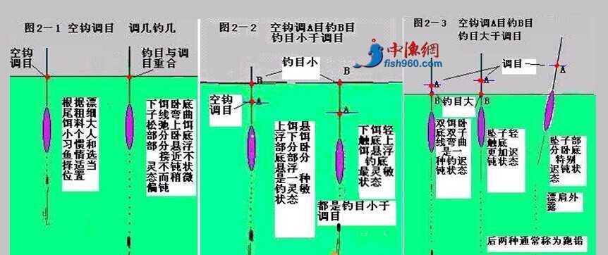 夜钓鲫鱼的技巧和方法（谷雨节气下如何有效夜钓鲫鱼）  第2张