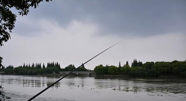 《探秘谷雨后的钓鱼技巧》（掌握技巧）  第3张