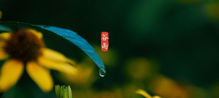 谷雨时节的钓鱼技巧（一网打尽的捕鱼妙招）  第1张