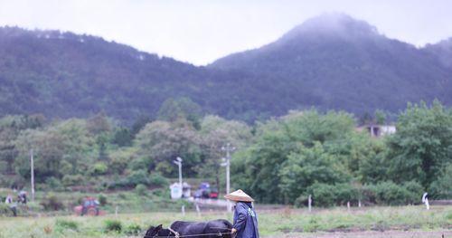 谷雨时节的钓鱼技巧（掌握这些技巧）  第3张