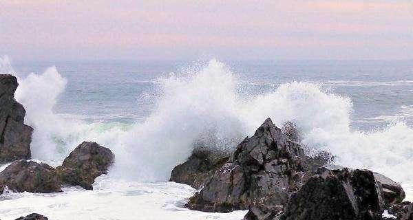 海沟钓鱼技巧教程（掌握钓鱼技巧）  第2张