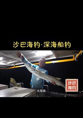 海浪面前钓鱼技巧（钓鱼技巧分享）  第2张