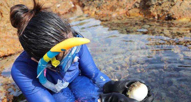 海马河豚钓鱼技巧（掌握海马河豚钓鱼的关键技巧和注意事项）  第1张