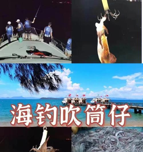 海南夜钓鱿鱼的技巧与方法（掌握关键步骤）  第1张