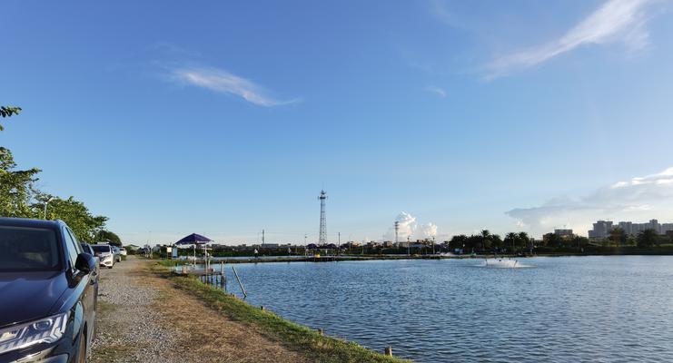 海鸥岛海水淡水交接钓鱼技巧（发掘钓鱼宝藏）  第3张