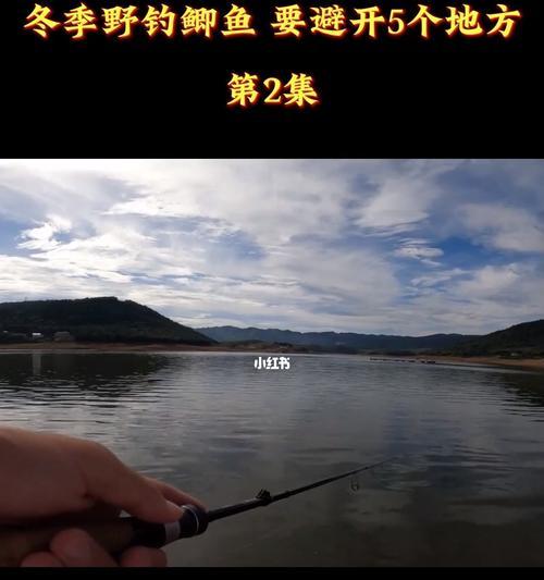 海上钓鱼技巧大揭秘（实用技巧助你成为海上钓鱼高手）  第3张