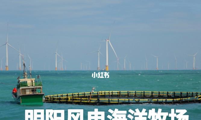 海上风电场钓鱼技巧（轻松掌握海上风电场钓鱼技巧）  第3张