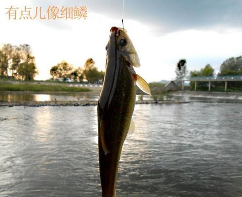 海上急流钓鱼技巧（掌握技巧）  第1张