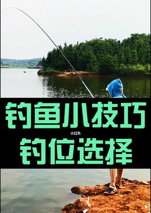 海上自动化钓鱼技巧（实现捕捞的关键方法）  第3张