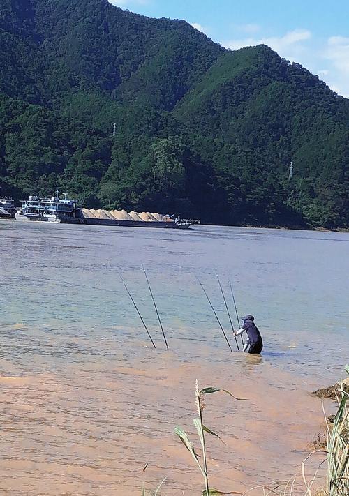 海水浅滩钓鱼技巧大揭秘（轻松捕获海底丰富的渔获）  第3张