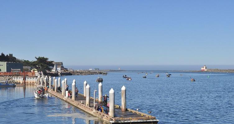 海水手竿钓鱼技巧（掌握有效的海钓技巧）  第3张