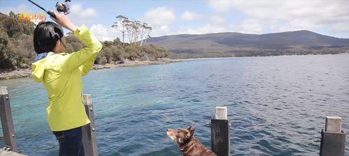 海滩钓鱼技巧教学（轻松掌握海滩钓鱼的技巧和要领）  第1张