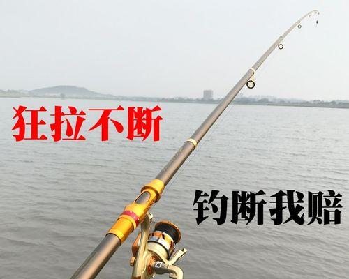 海滩海竿钓鱼技巧（掌握技巧）  第1张