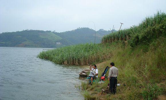 海洋岛钓鱼技巧（掌握关键诀窍）  第2张