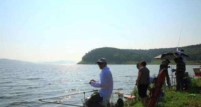 寒冷夏天钓鱼技巧（应对极端天气）  第3张