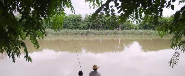 寒露钓鱼调漂技巧（寒露季节钓鱼的调漂技巧和注意事项）  第1张