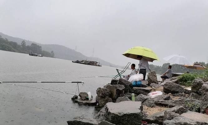 寒露节气雨天钓鱼技巧（钓鱼的好时机——寒露节气雨天如何应对）  第2张