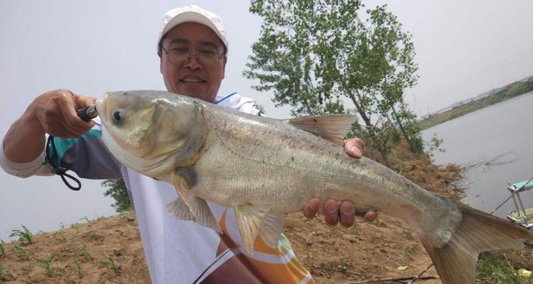 汉北河流水钓鳊鱼的技巧与方法（掌握汉北河流水钓鳊鱼的关键）  第3张