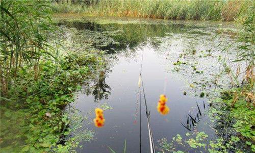 合川双龙湖钓鱼技巧（探秘双龙湖）  第3张