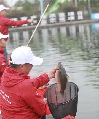 河坝钓鱼技巧大揭秘（掌握精准打窝和饵料选择的关键）  第2张