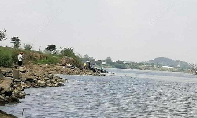 河坝里野钓小鱼技巧（掌握技巧轻松享受乐趣）  第1张