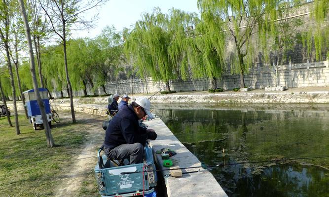 探秘河边无杆钓鱼技巧（发掘钓鱼新境界）  第2张