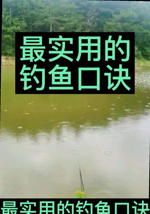 钓鱼技巧与口诀大揭秘（掌握技巧）  第2张