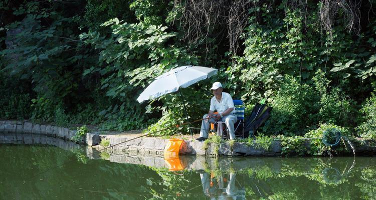 河边排水口钓鱼技巧（钓鱼达人分享的精彩技巧与经验）  第2张