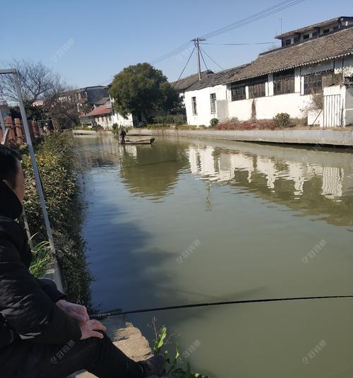 河边桥下钓鱼技巧大揭秘（掌握这些技巧）  第1张