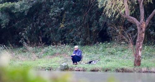 河边野钓打窝技巧与方法（解析有效的打窝技巧）  第2张