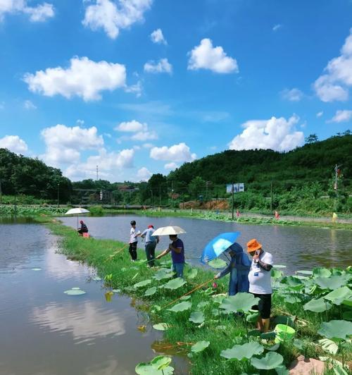 河边虾钓鱼技巧（掌握虾钓关键诀窍）  第2张