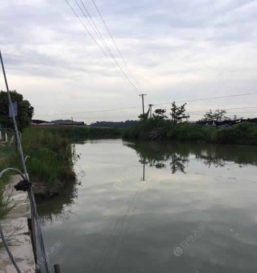 河道坝口钓鱼技巧（河道钓鱼）  第3张