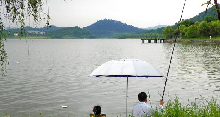 河道坝口钓鱼技巧（河道钓鱼）  第2张