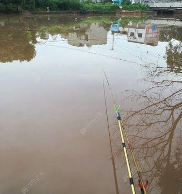 河道坝口钓鱼的技巧与方法（探秘河道坝口钓鱼）  第1张