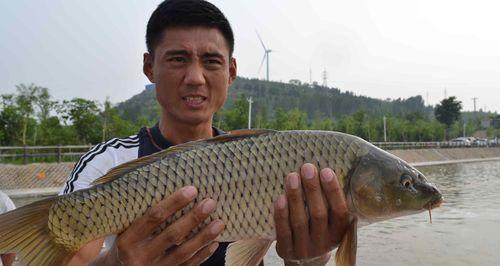 河道岔口钓鱼技巧（掌握岔口特点）  第1张