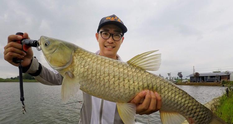 河道流水钓草鱼技巧与方法（掌握流水钓技）  第3张