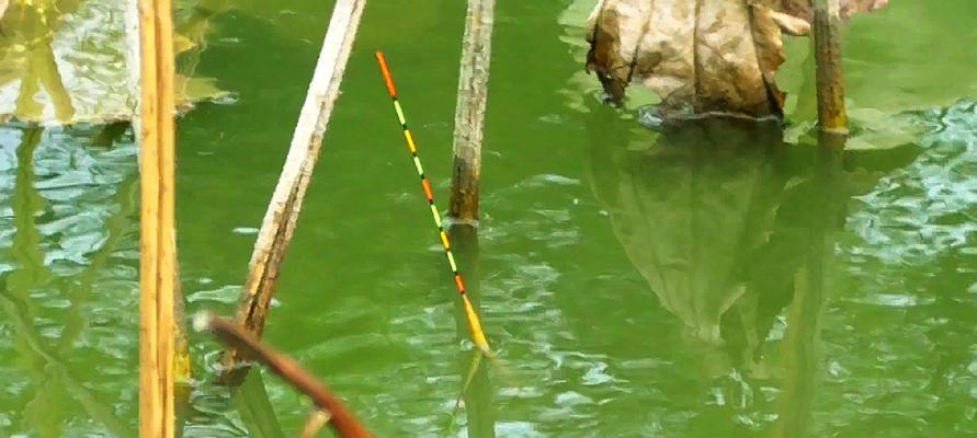 探秘河道钓鱼技巧（流水垂钓）  第3张