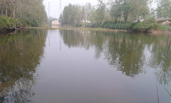 探秘河道钓鱼技巧（流水垂钓）  第1张