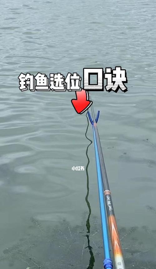 探秘河道码头钓鱼技巧（捕获丰富渔获）  第1张