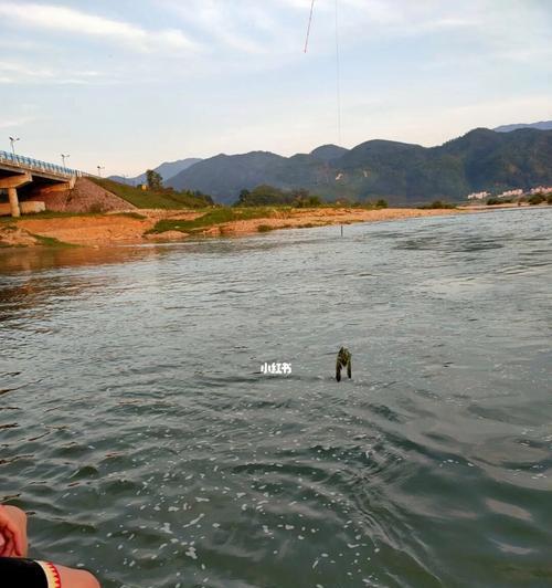 河道深沟钓鱼技巧（掌握技巧钓到丰盛的河鲜美味）  第3张